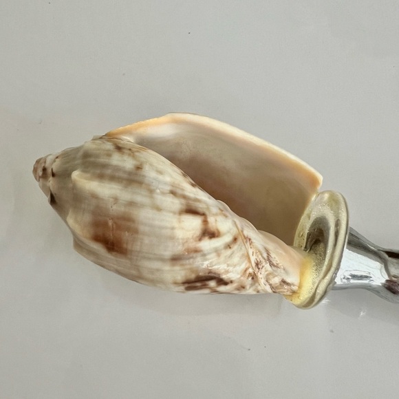 Vintage genuine Seashell 🐚 handle Butter Spreader knife - coastal decor - Picture 3 of 6